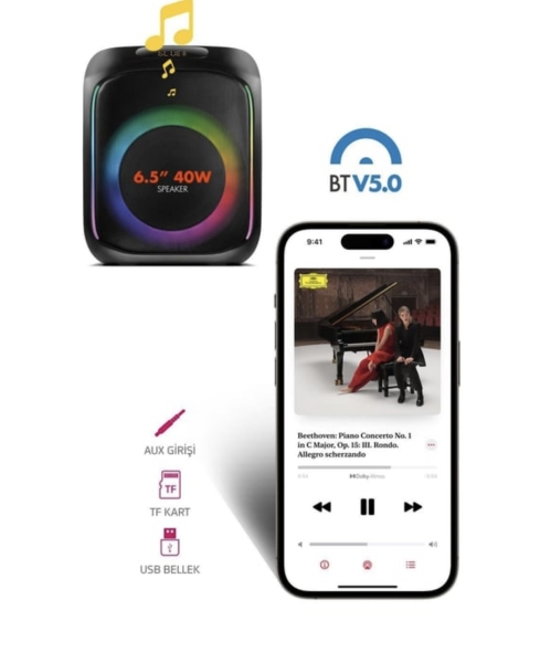 Powerway MIO 40 W Party Karaoke Bluetooth SPEAKER 