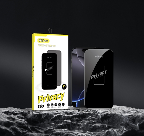 Samsung S24 Plus Privacy Antistatic OG glass